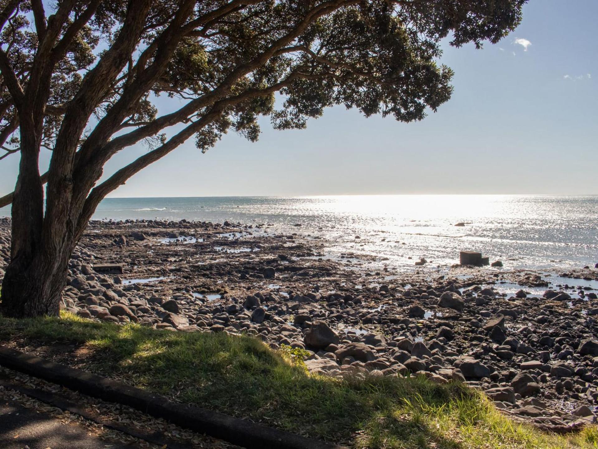 The Coastal Cottage Central City Location New Plymouth Bagian luar foto